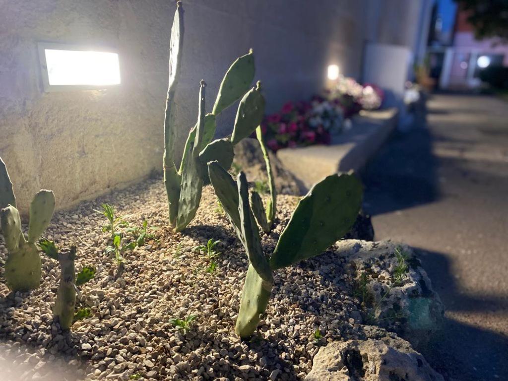 مبيت وإفطار Squinzano Viro House المظهر الخارجي الصورة